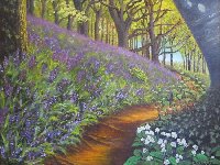 Bluebell Forest, Cornwall
